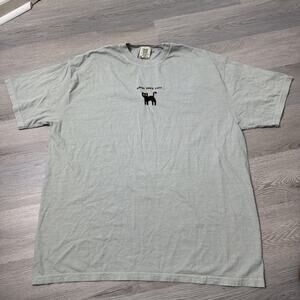 Comfort Colors Adopt Black Cats T-Shirt Men’s 2XL Sage